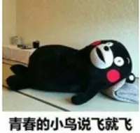 主界面，清晰易操作